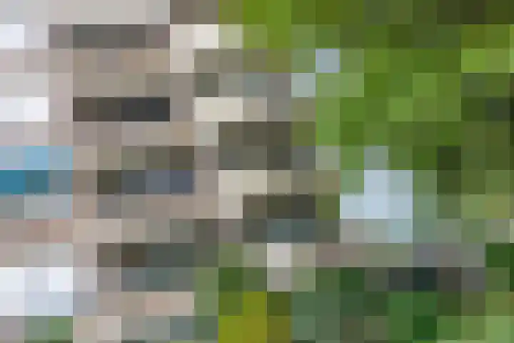Willem Honigweg 17 Velp thumbnail 21