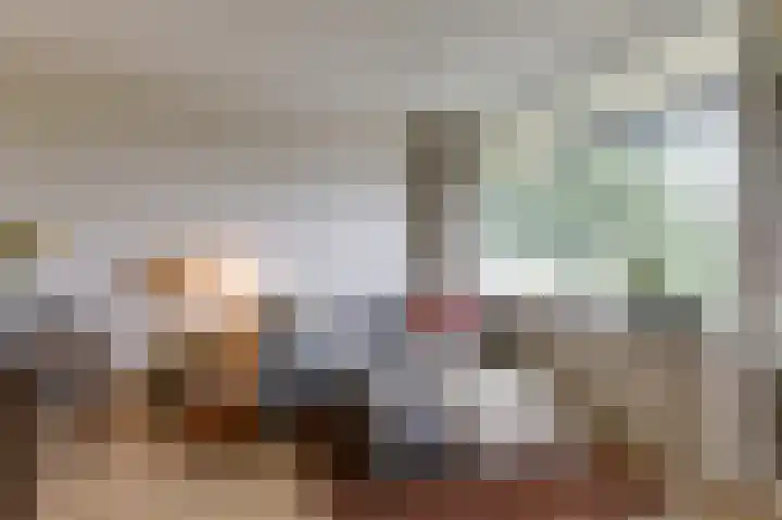 Willem Honigweg 17 Velp thumbnail 8