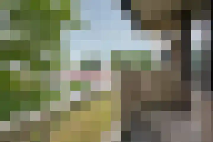 Willem Honigweg 17 Velp thumbnail 9