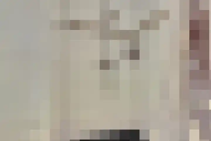 Willem Honigweg 21 Velp thumbnail 11