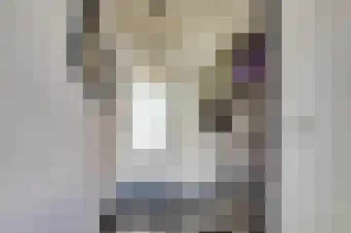 Willem Honigweg 21 Velp thumbnail 12