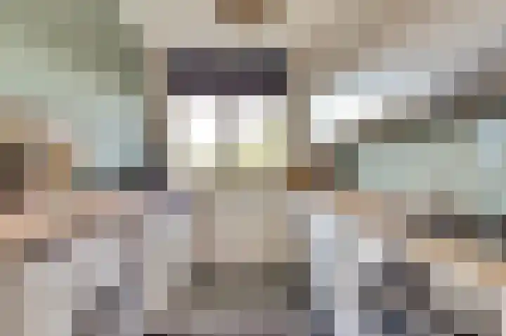 Willem Honigweg 21 Velp thumbnail 13