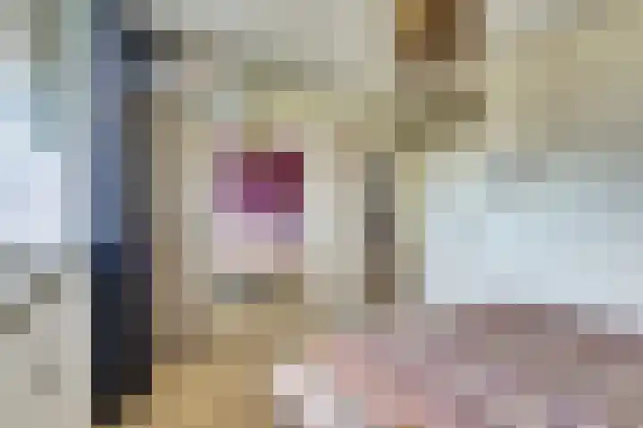 Willem Honigweg 21 Velp thumbnail 17