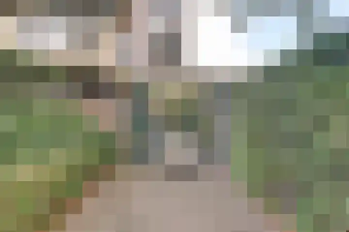 Willem Honigweg 21 Velp thumbnail 21