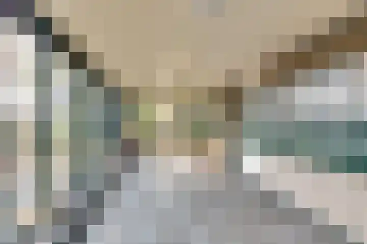 Willem Honigweg 21 Velp thumbnail 28
