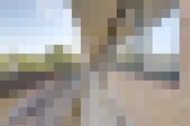 Willem Honigweg 21 Velp thumbnail 29