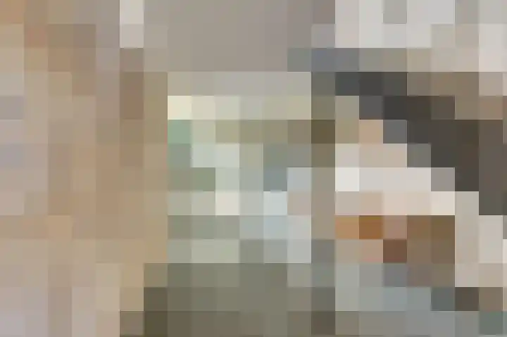 Willem Honigweg 21 Velp thumbnail 35