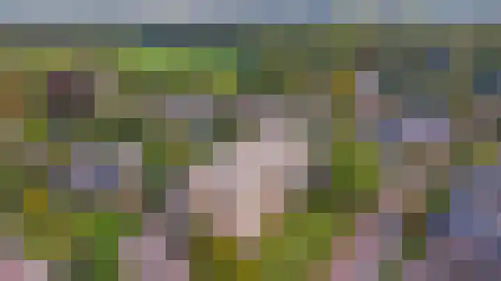 Willem Honigweg 21 Velp thumbnail 40