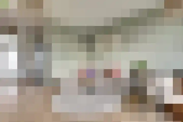 Willem Honigweg 21 Velp thumbnail 6