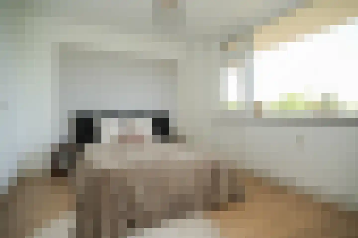 Willem Honigweg 27 Velp thumbnail 23