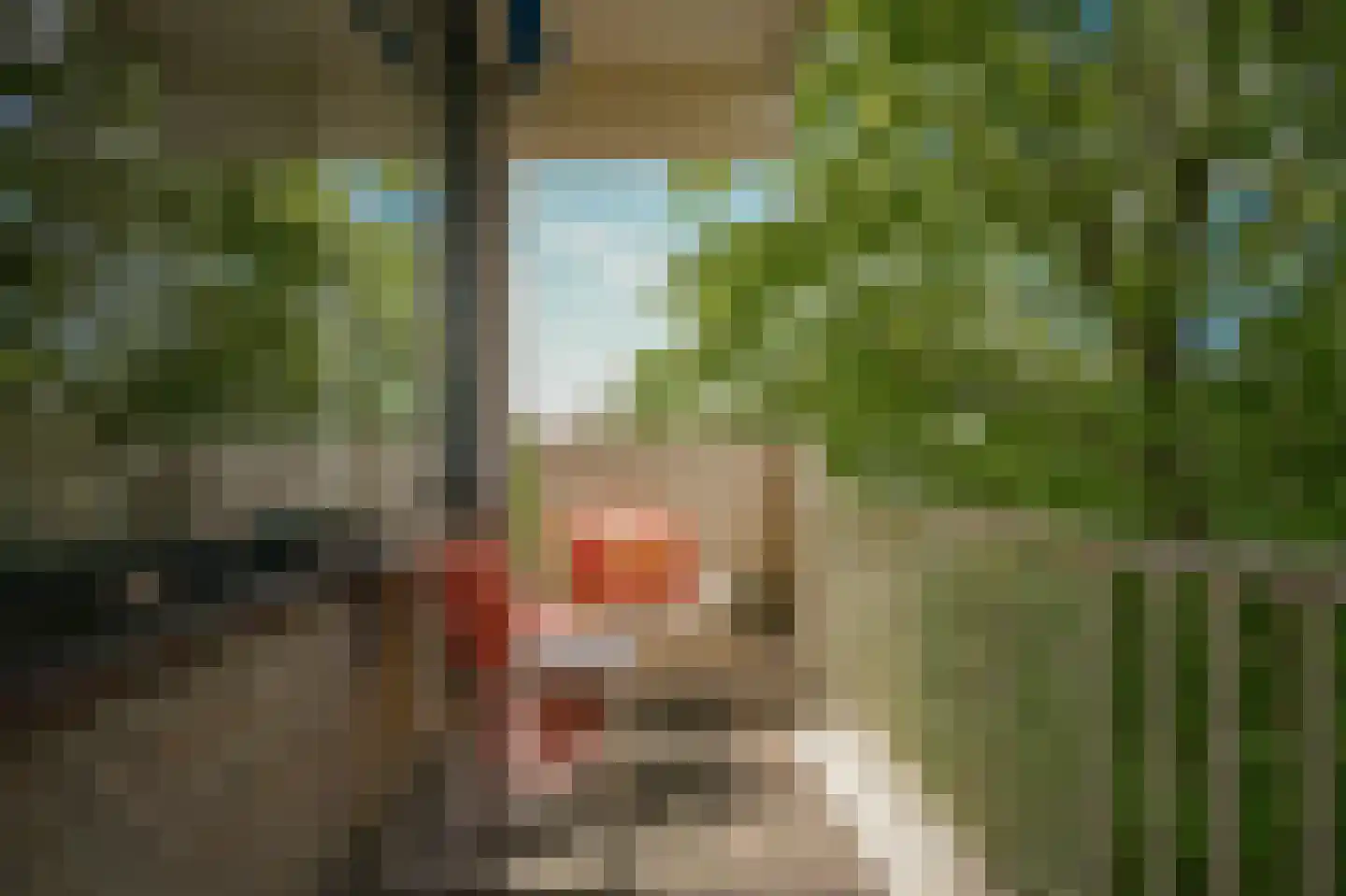 Willem Honigweg 27 Velp thumbnail 25