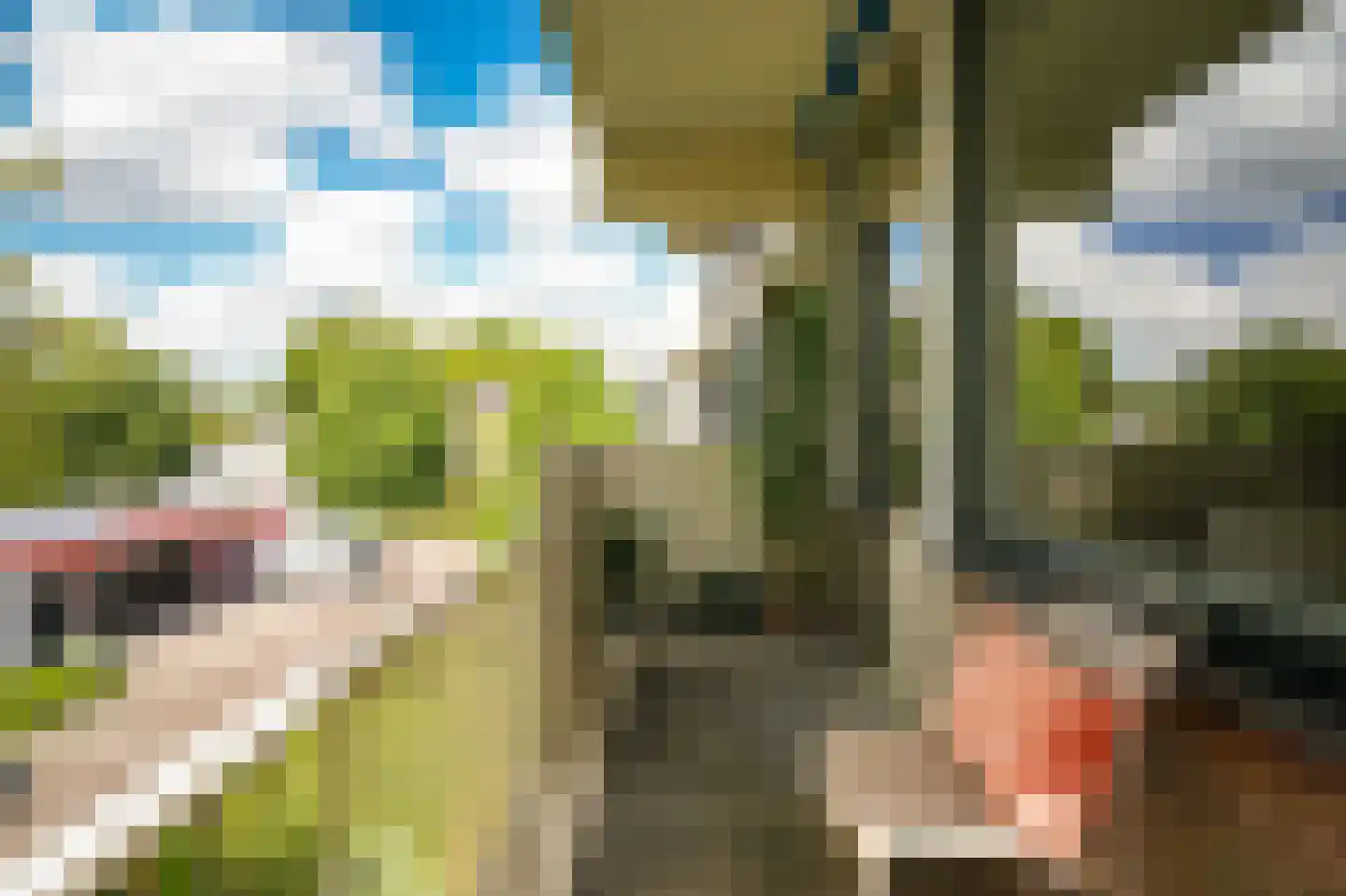 Willem Honigweg 27 Velp thumbnail 26