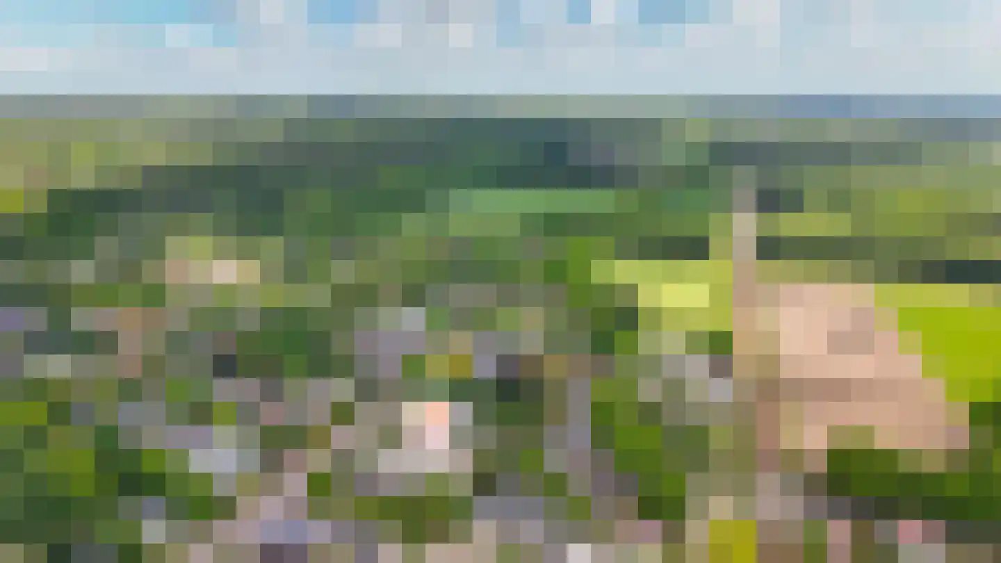 Willem Honigweg 27 Velp thumbnail 29