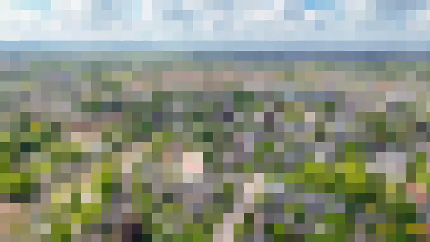 Willem Honigweg 27 Velp thumbnail 31