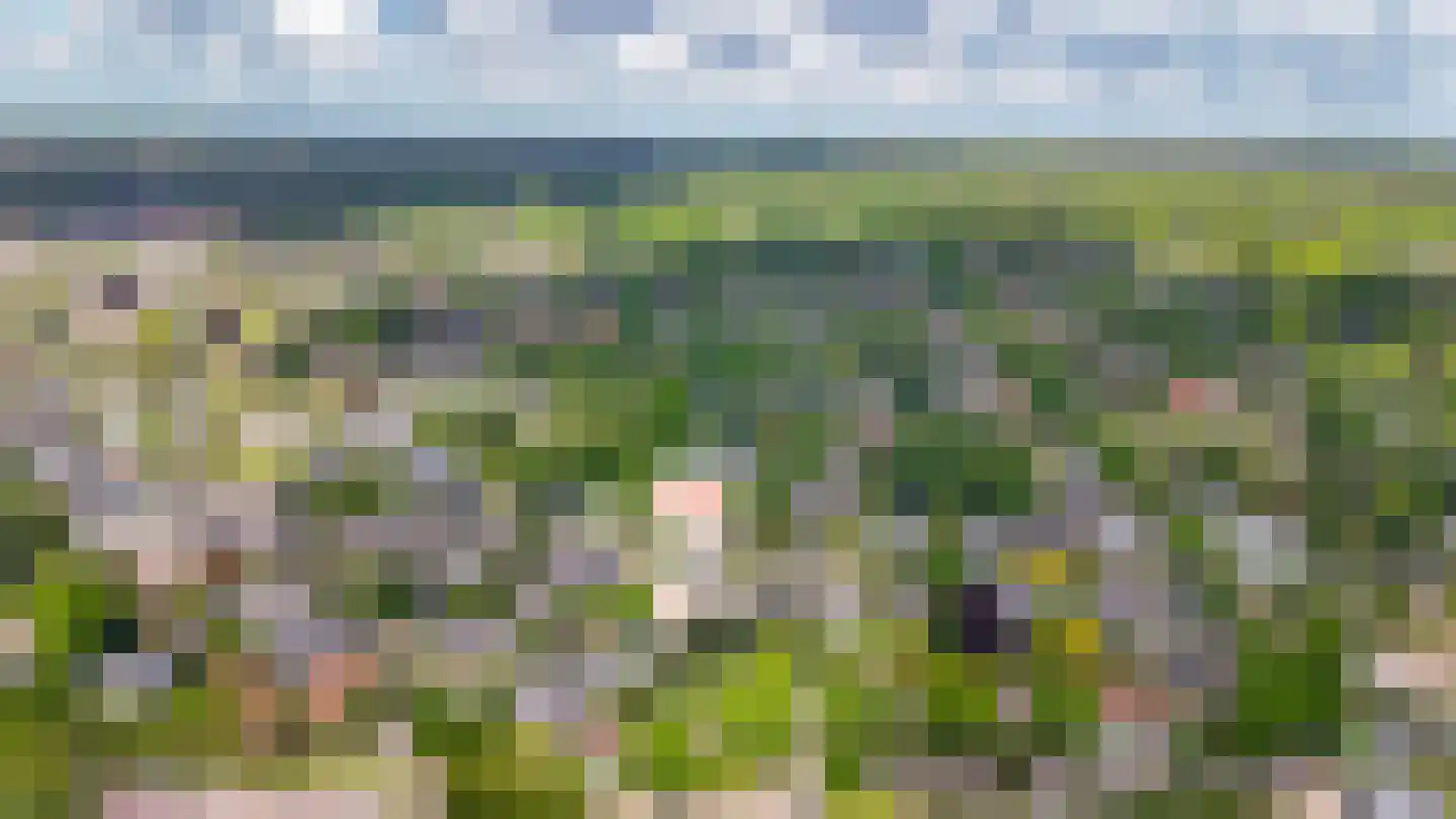 Willem Honigweg 27 Velp thumbnail 32