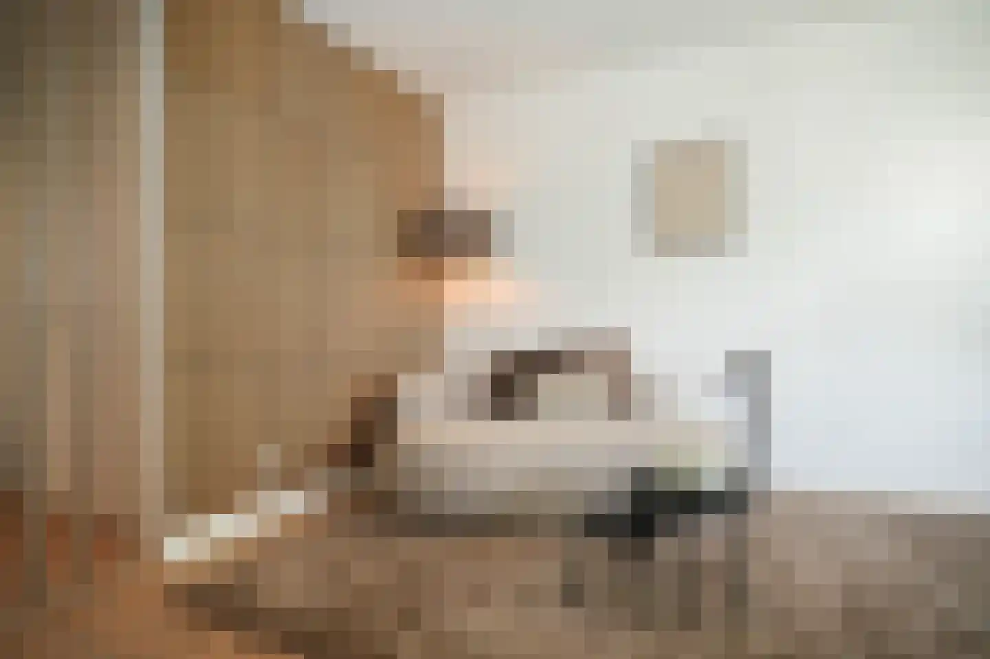 Willem Honigweg 27 Velp thumbnail 8