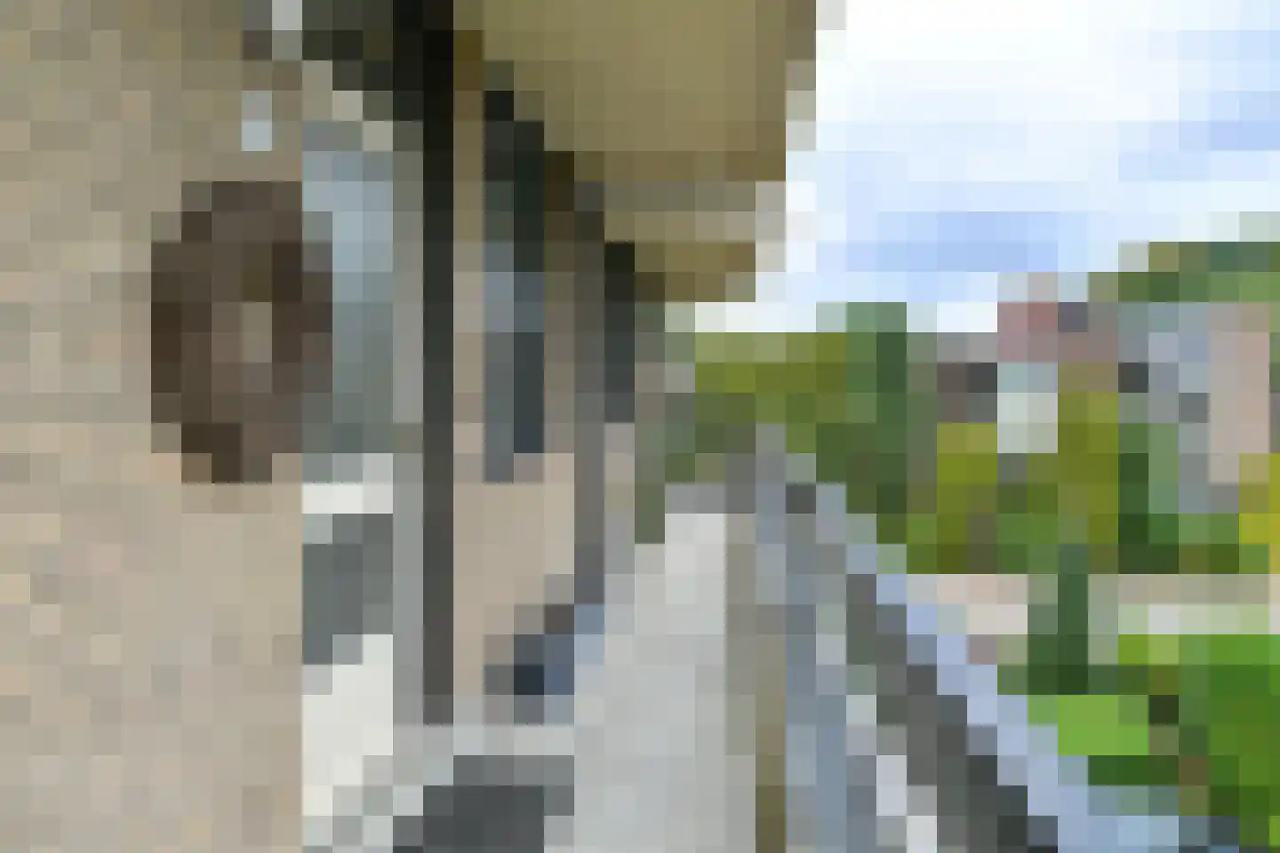 Willem Honigweg 33 Velp thumbnail 13