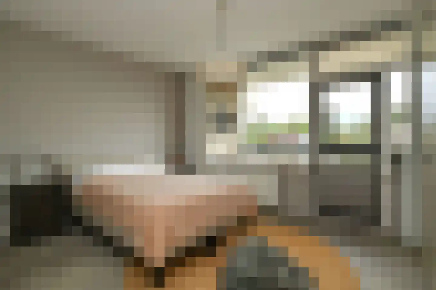 Willem Honigweg 33 Velp thumbnail 26