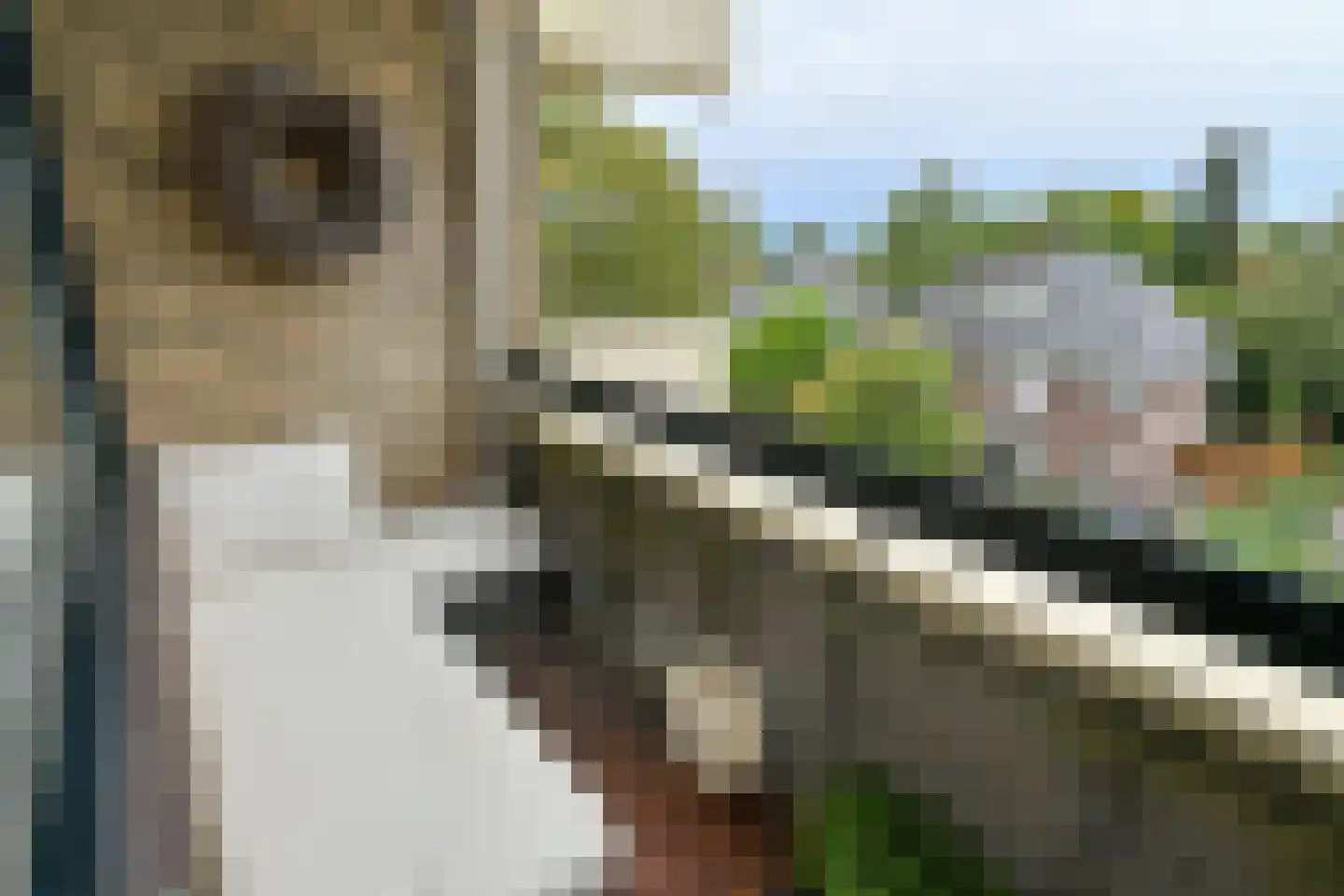 Willem Honigweg 33 Velp thumbnail 27