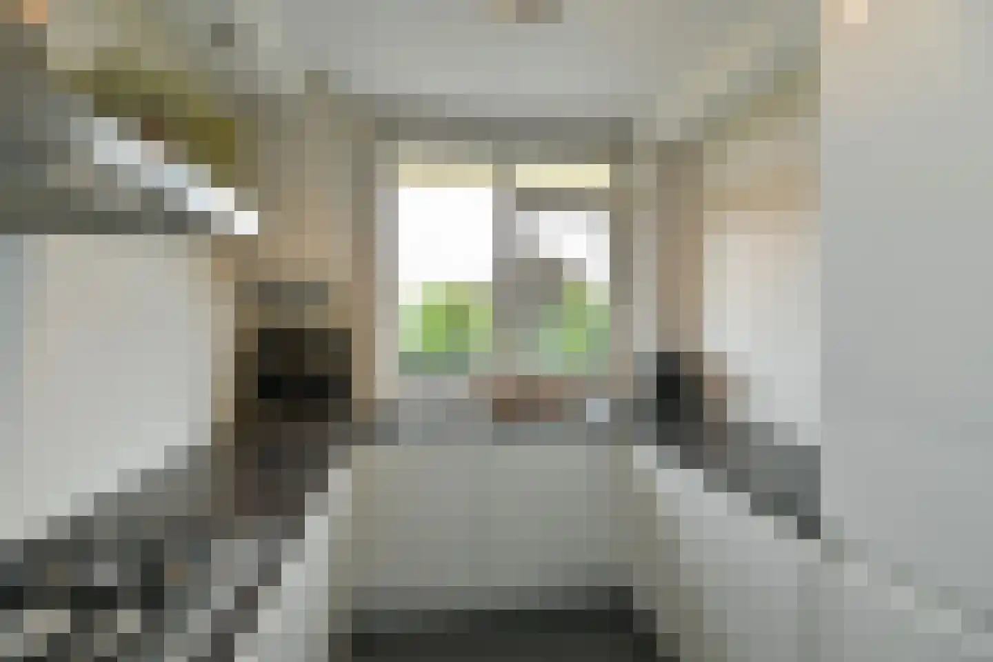 Willem Honigweg 33 Velp thumbnail 32