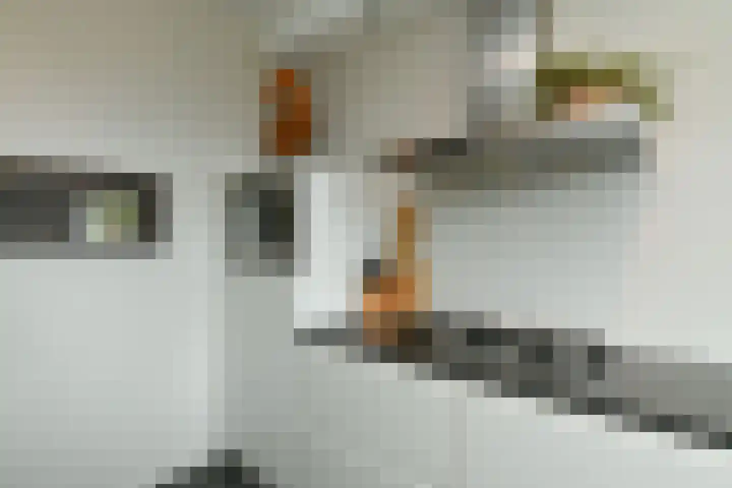 Willem Honigweg 33 Velp thumbnail 33