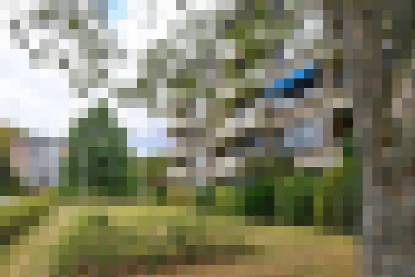 Willem Honigweg 33 Velp thumbnail 8