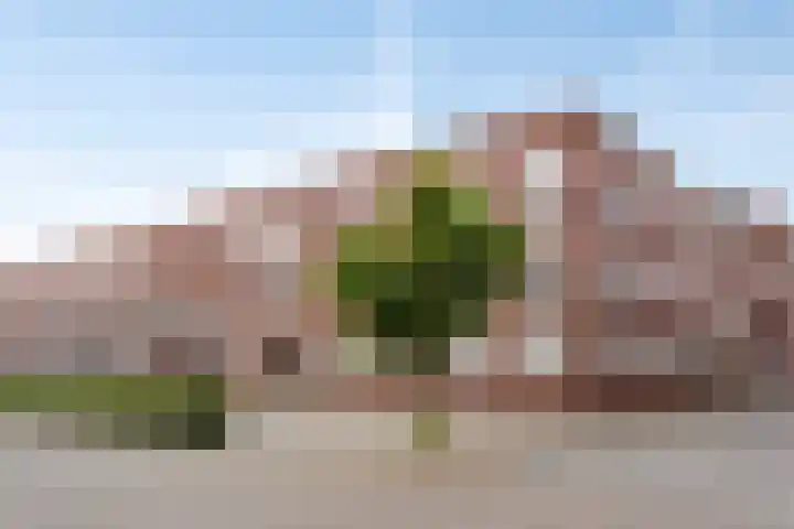 Willem Hubertstraat 16 's-Hertogenbosch thumbnail 30