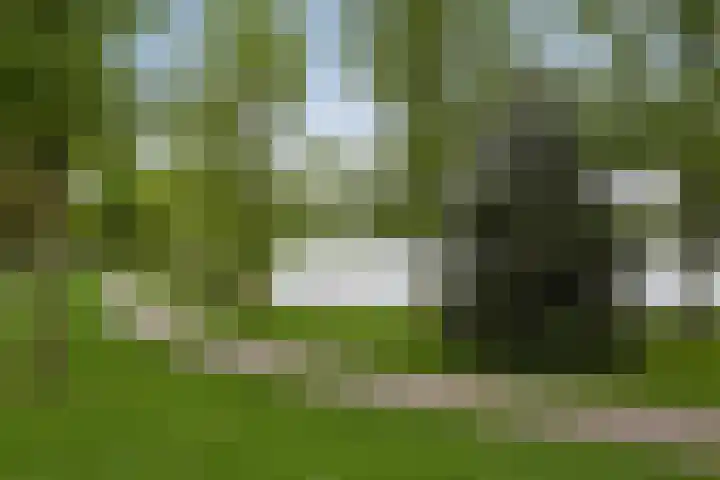 Willem Hubertstraat 16 's-Hertogenbosch thumbnail 34