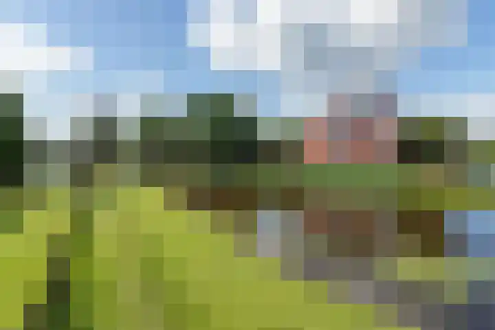 Willem Hubertstraat 16 's-Hertogenbosch thumbnail 37