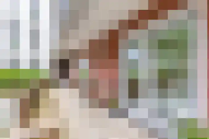 Willem Hubertstraat 2 's-Hertogenbosch thumbnail 13