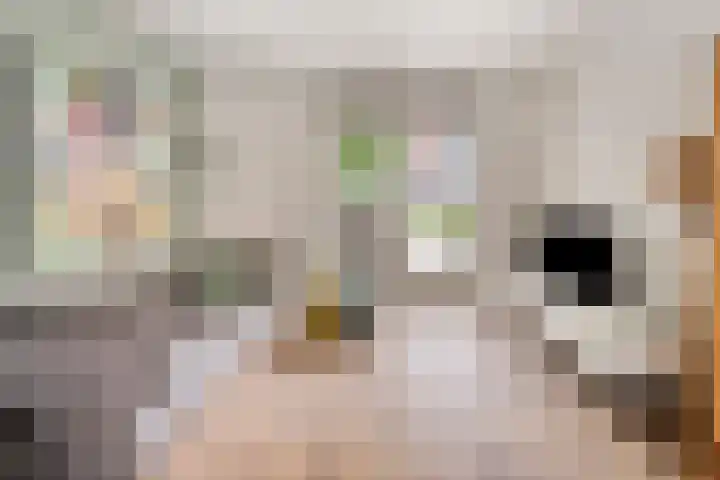 Willem Hubertstraat 2 's-Hertogenbosch thumbnail 8