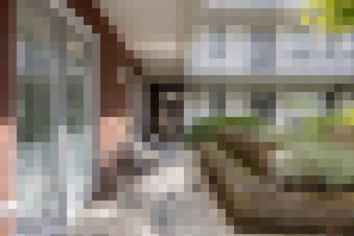 Willem Hubertstraat 4 's-Hertogenbosch thumbnail 6