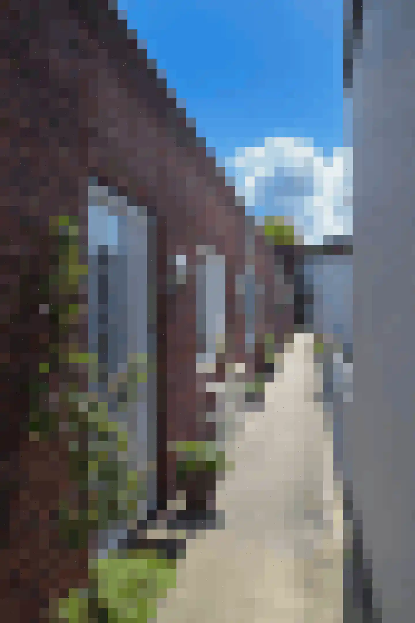 Willem Hubertstraat 58 's-Hertogenbosch foto 3