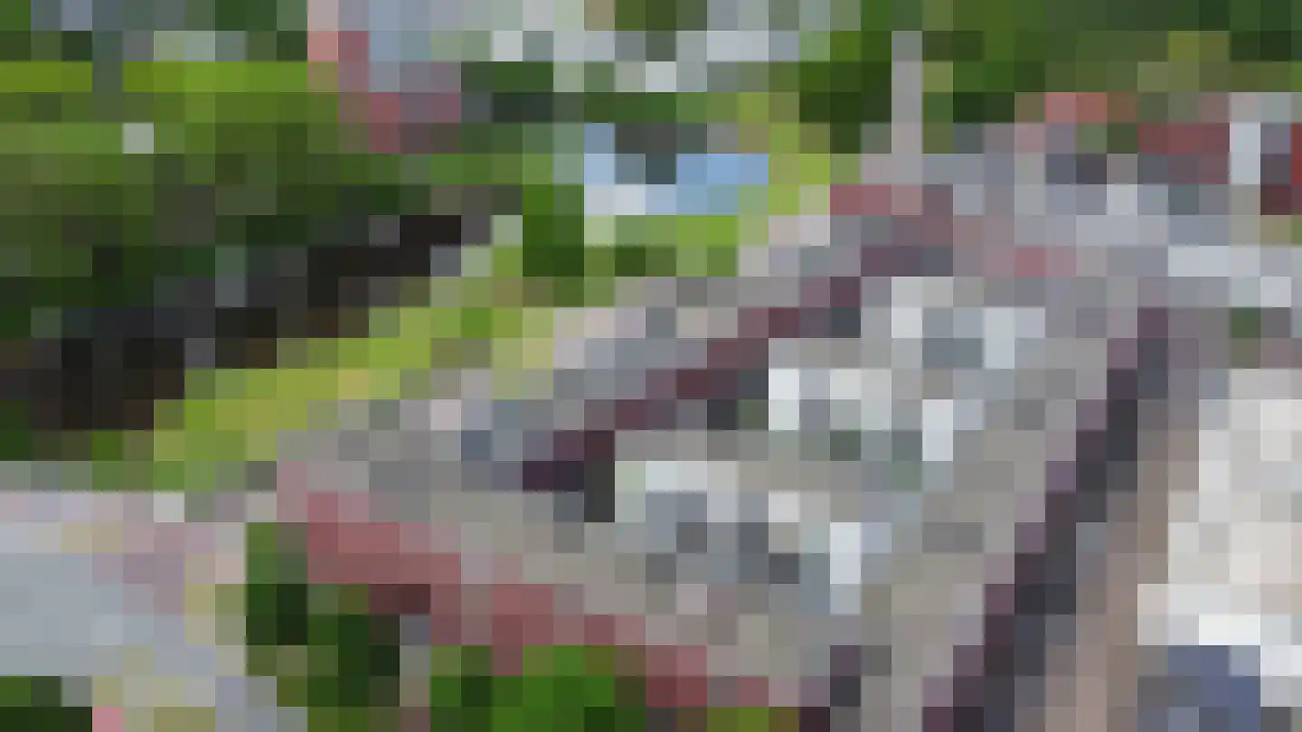 Willem Hubertstraat 58 's-Hertogenbosch thumbnail 36