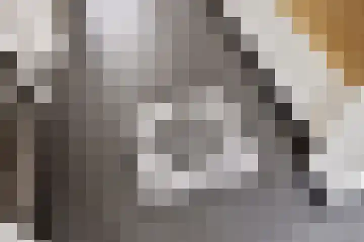 Willem I-laan 18 Oss thumbnail 11