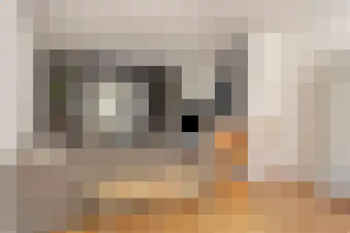 Willem I-laan 18 Oss thumbnail 13