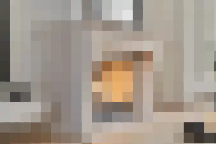 Willem I-laan 18 Oss thumbnail 14