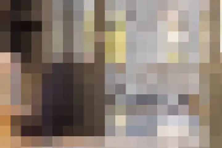 Willem I-laan 18 Oss thumbnail 20