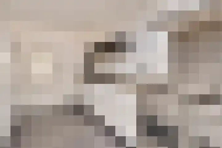 Willem I-laan 18 Oss thumbnail 25