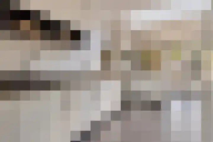 Willem I-laan 18 Oss thumbnail 27