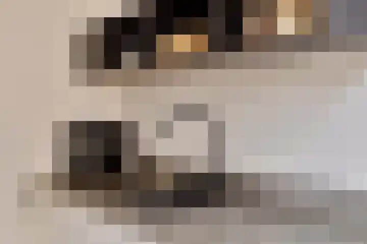 Willem I-laan 18 Oss thumbnail 28