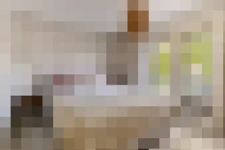 Willem I-laan 18 Oss thumbnail 32