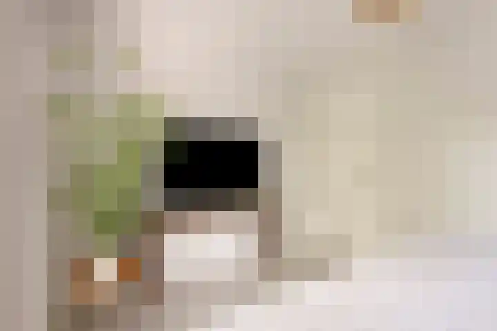 Willem I-laan 18 Oss thumbnail 33