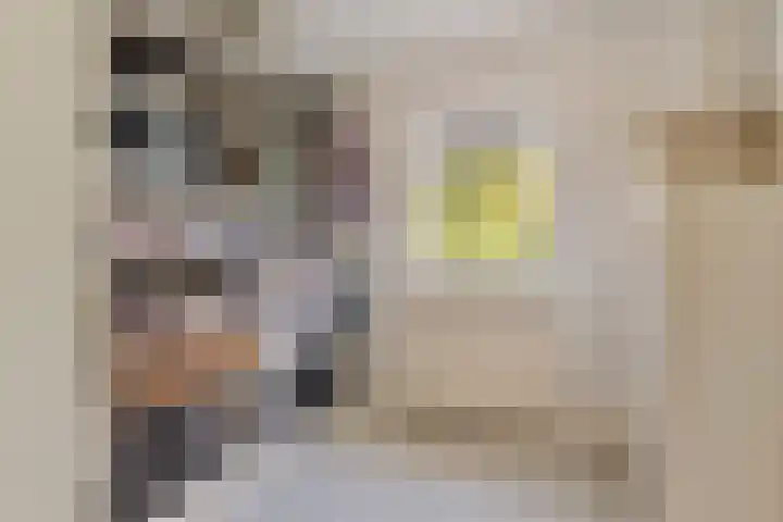 Willem I-laan 18 Oss thumbnail 39