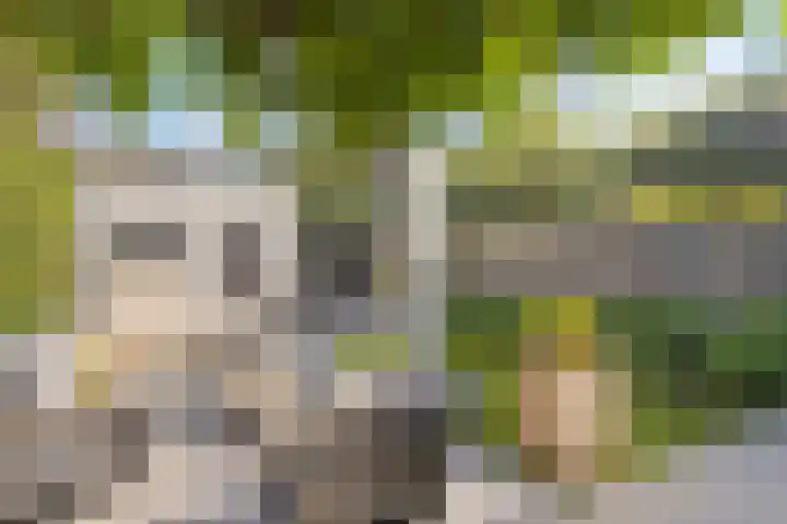Willem I-laan 18 Oss thumbnail 4