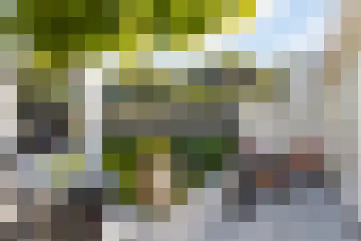 Willem I-laan 18 Oss thumbnail 43