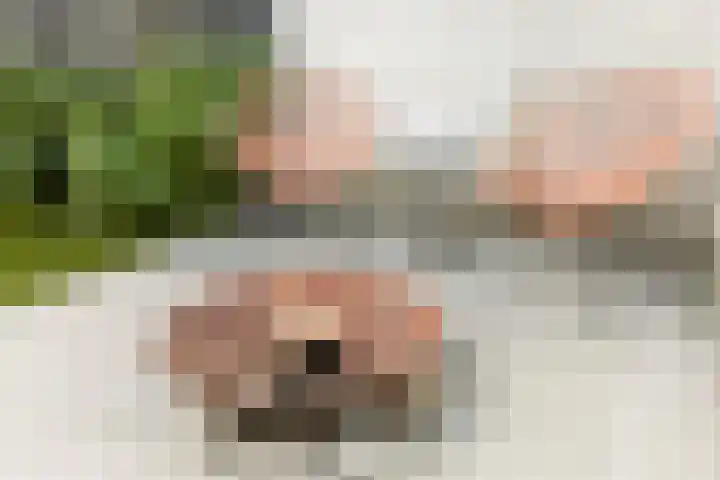 Willem I-laan 18 Oss thumbnail 48