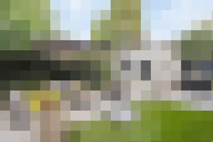Willem I-laan 18 Oss thumbnail 50