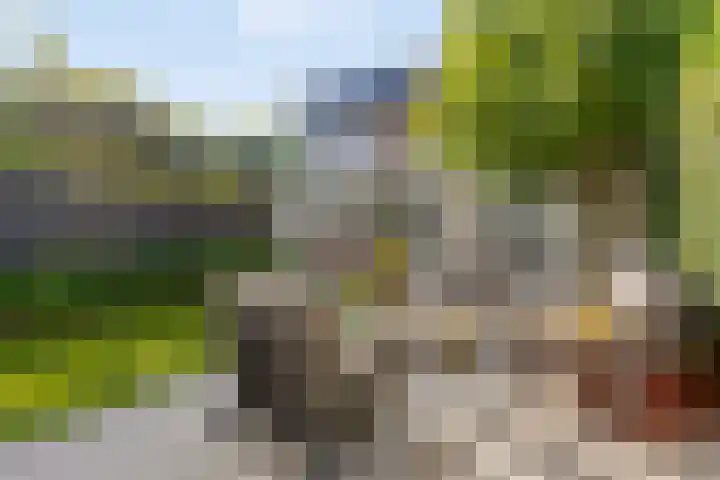 Willem I-laan 18 Oss thumbnail 54
