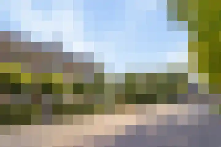 Willem I-laan 18 Oss thumbnail 8